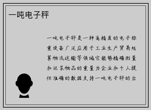 一吨电子秤 一吨电子秤